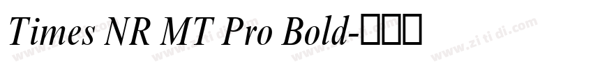 Times NR MT Pro Bold字体转换